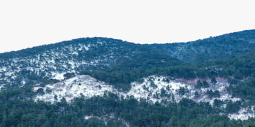 kazdaglari2