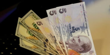tl-dolar