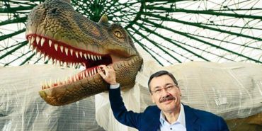gokcekdinazor