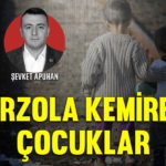 sevketpirzola
