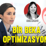 bilin-kapak