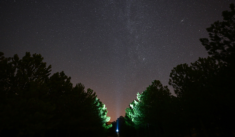 Ankara’da Perseid meteor yağmuru