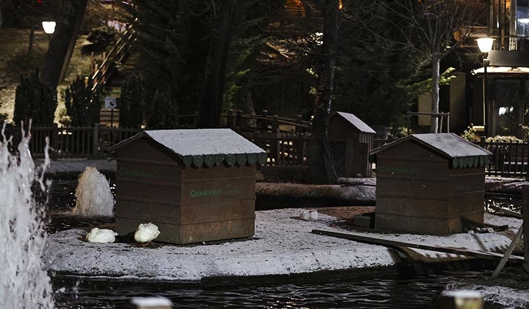 Ankara’dan kar manzaraları: Kuğulu Park beyaza büründü