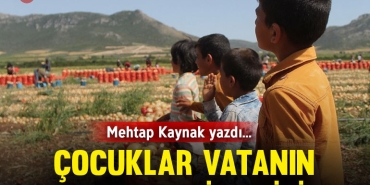 kaynak-kap