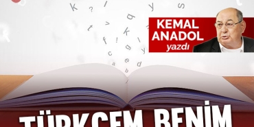 anadol-kapak