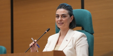 sinem-dedetas