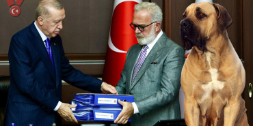 erdogan-sahipsizkopek