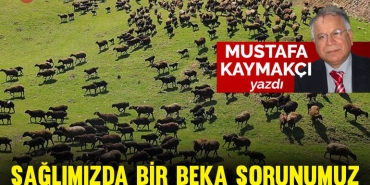 kaymakci-kap