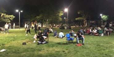 park-ist