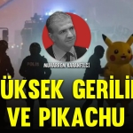 karanfil-kapak