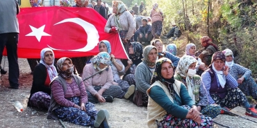 yavuzgesone