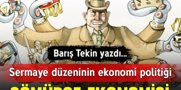 tekin-kapak