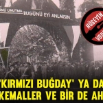 vodinali-kap