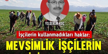 ykoc1205