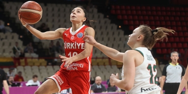 basket1
