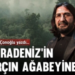 ngkapakkapak