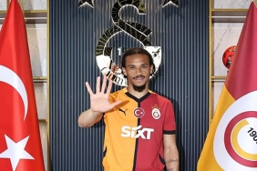 sane
