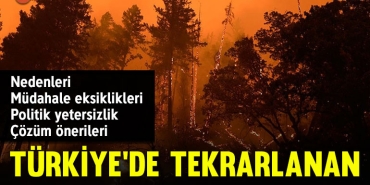 sefa-kapak