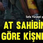 sefason2