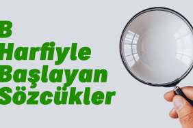 nedir