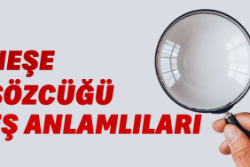nese-esanlamli