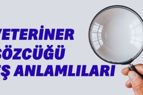 veteriner