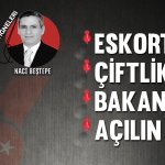 bestepe0229