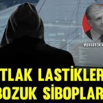 karanfil-kapak