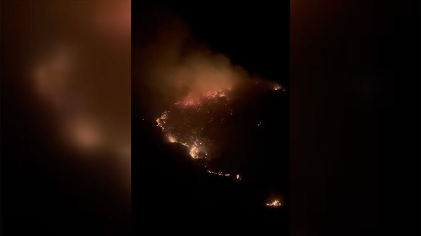 Marmara Adası’nda orman yangını