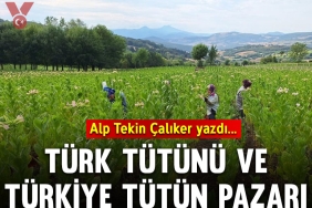 tutunkapak56