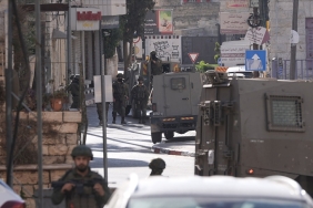 thumbs_b_c_d7319c685fc03fd573c4e69012cfcc73