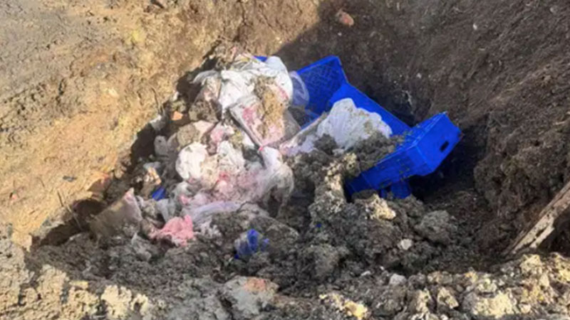 Satışa sunulan 300 kilo et gömülerek imha edildi!