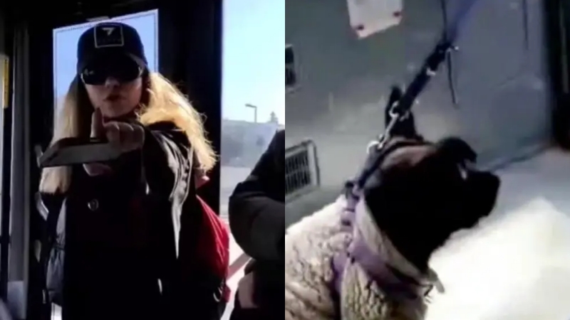 Otobüste köpek kavgası: ‘Savcıyım’ diyen yolcu gözaltına alındı