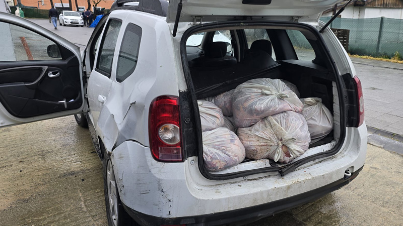 İstanbul’da yüzlerce kilo at eti ele geçirildi! 3 kişi gözaltında