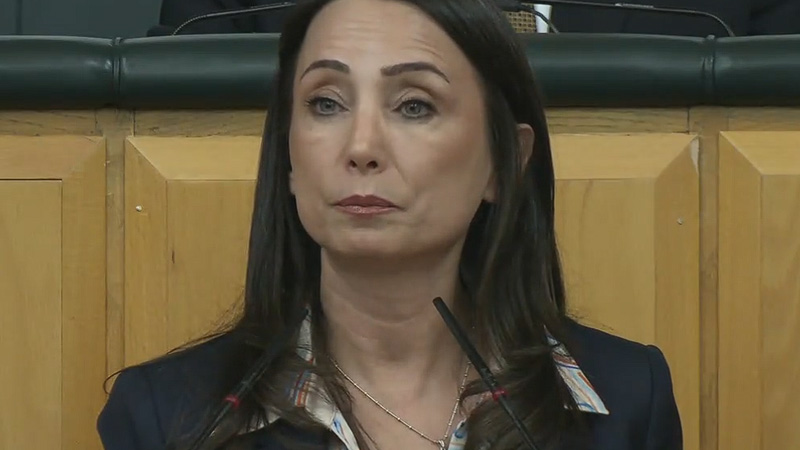 DEM Parti’den ‘açılım’ çıkışı: ‘İktidar aksak, ürkek, oyalayıcı bir tutum içinde’