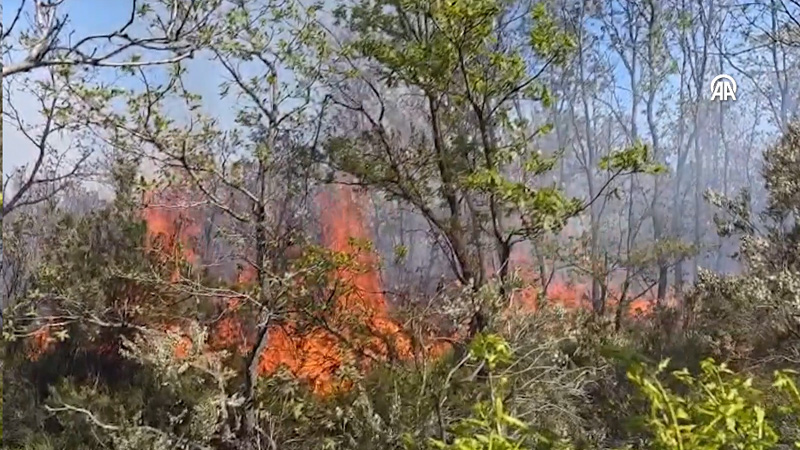 Çatalca ve Beykoz’da orman yangını: İstanbul Valiliği’nden açıklama geldi