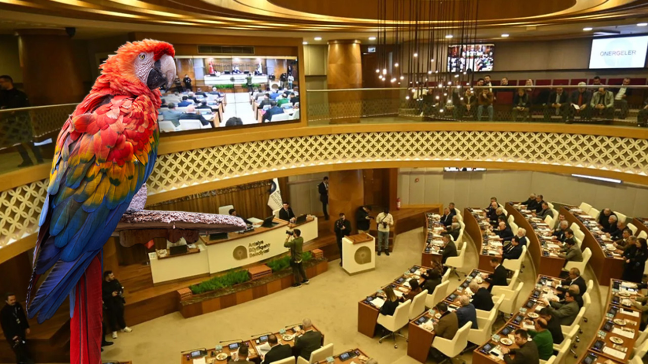 Antalya Büyükşehir Belediyesi raporunda ilginç detaylar: Çimleri biçtik, çitleri boyadık, papağanlara salıncaklar aldık!